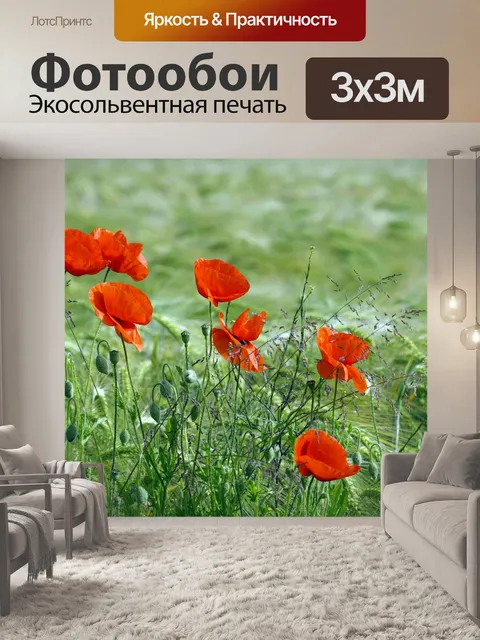 Фотообои Маков поле цветет природа