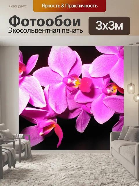 Фотообои Орхидеи