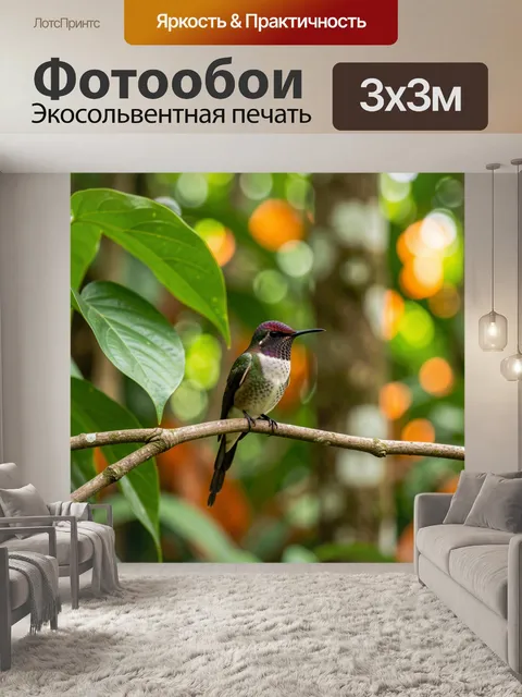 Фотообои Колибри на ветке в джунглях