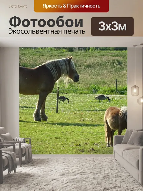 Фотообои Лошади