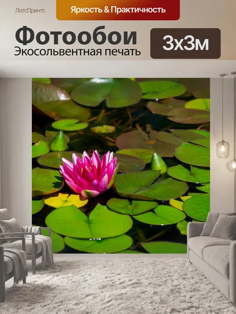 Фотообои Цветок
