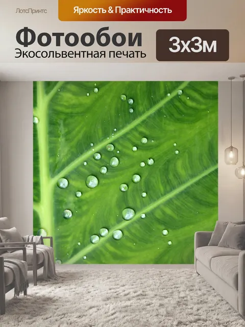 Фотообои Капли воды на зеленом листе