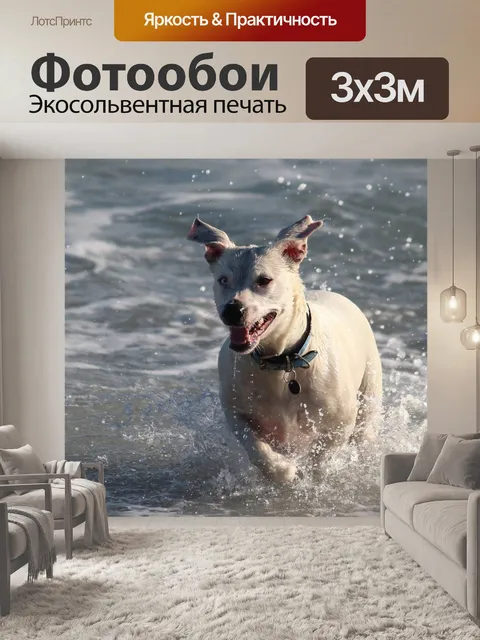 Фотообои Собака
