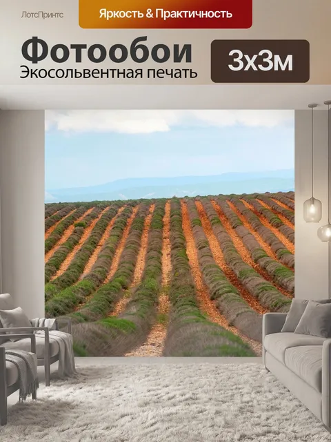Фотообои Валансоле