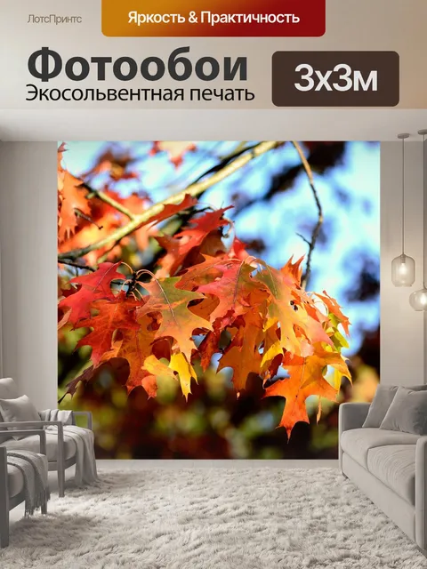 Фотообои Осенние листья