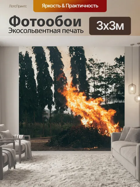 Фотообои Пожар