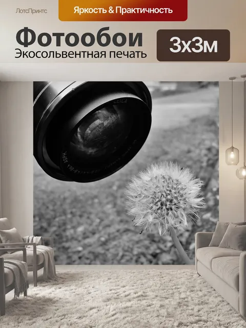 Фотообои Черный и белый