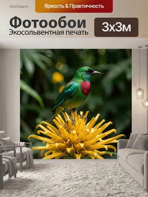 Фотообои Тропическая птица на желтом цветке