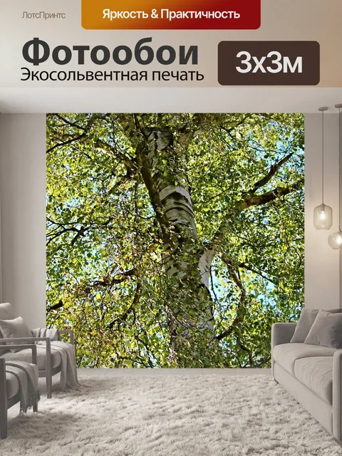 Фотообои Береза