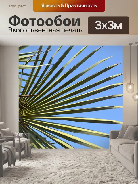 Фотообои Пальмовых листьев
