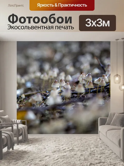 Фотообои Маленькие грибы