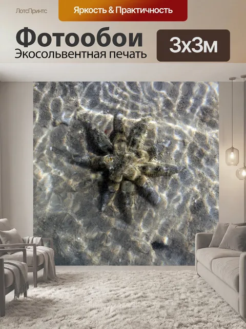 Фотообои Star Fish