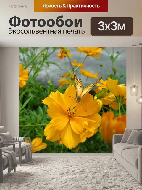 Фотообои Бабочка