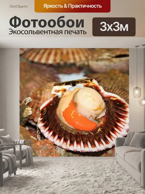 Фотообои Гребешок