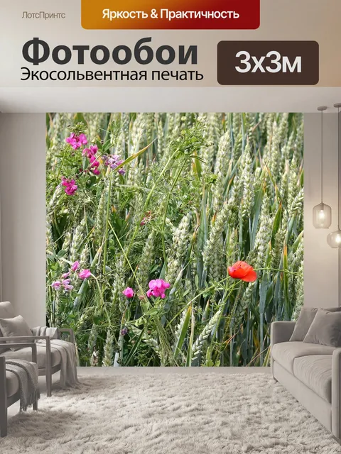 Фотообои Зерно