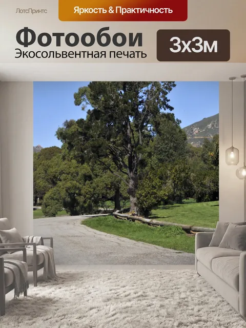 Фотообои Проселочная дорога