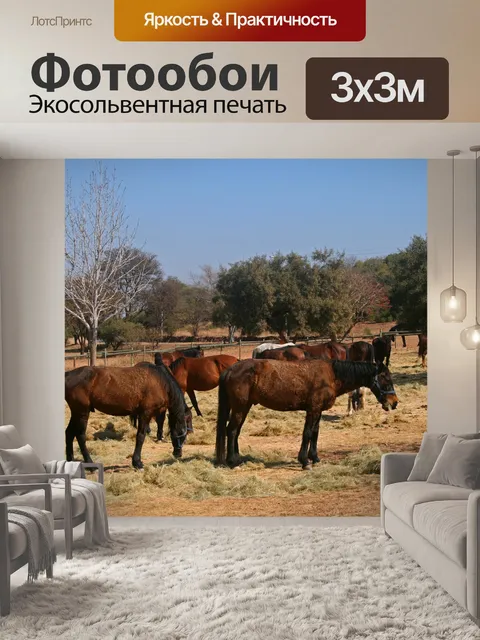 Фотообои стадо коричневых пасущихся лошадей