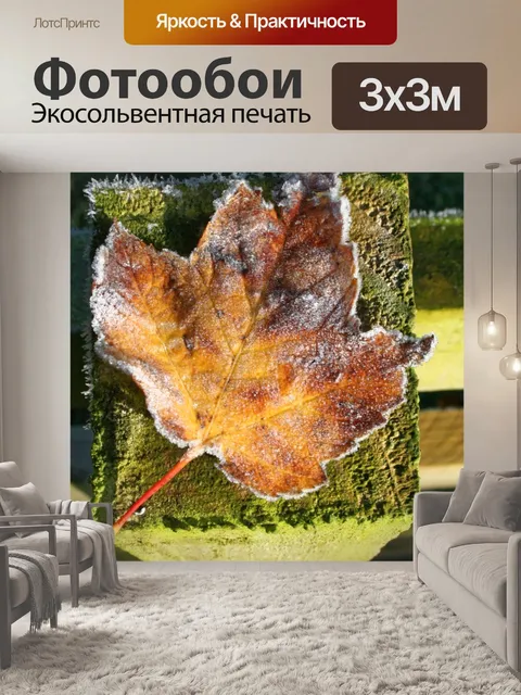 Фотообои Морозный Leaf