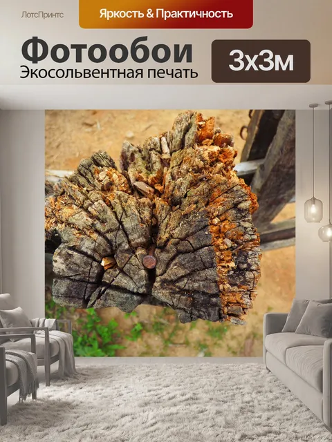 Фотообои Ствол