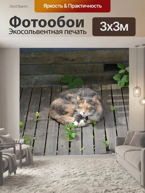 Фотообои Кошки 10