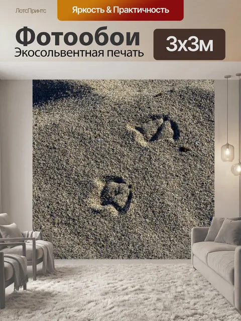 Фотообои Принты чайки песка