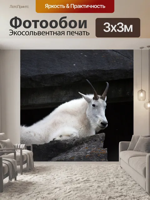 Фотообои Снежный козел