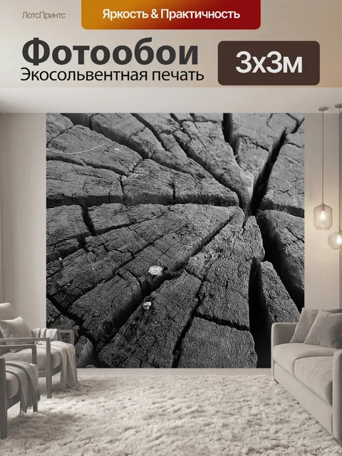 Фотообои Кора