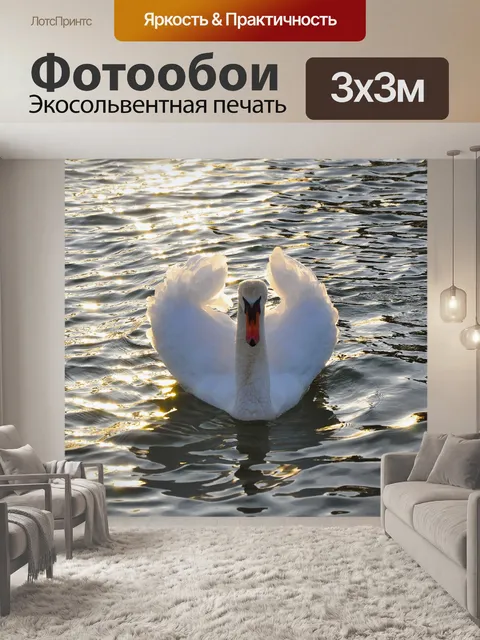 Фотообои Лебедь