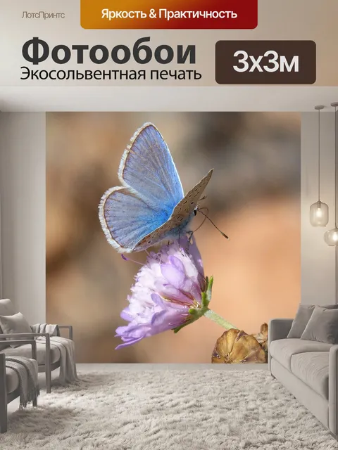 Фотообои Бабочка