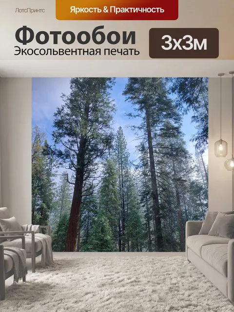 Фотообои Высокие Сосны Сьерра-Невада