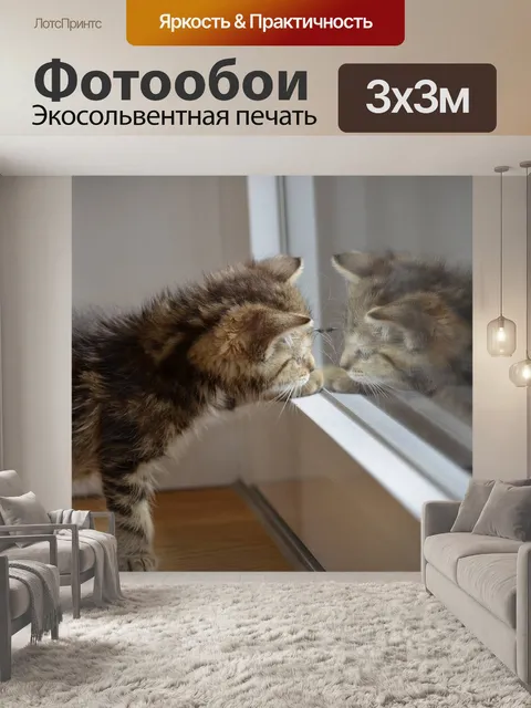 Фотообои Кот