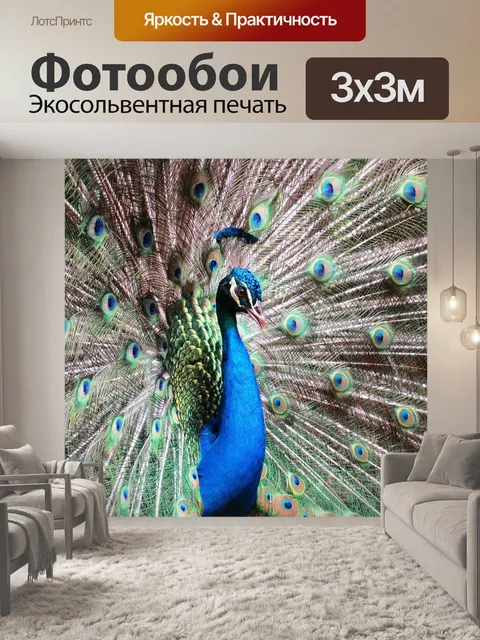 Фотообои Павлин