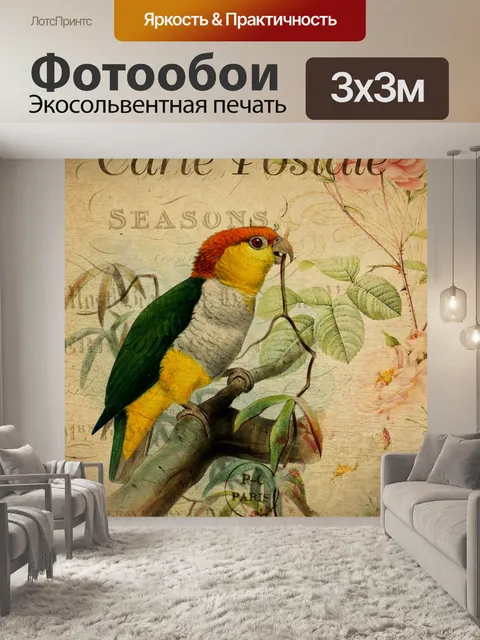 Фотообои Винтажная Цветочная Открытка Птицы