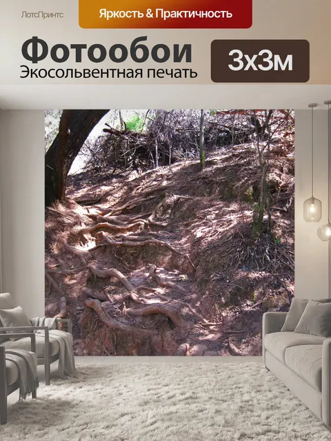 Фотообои эрозия почвы вокруг корневой системы