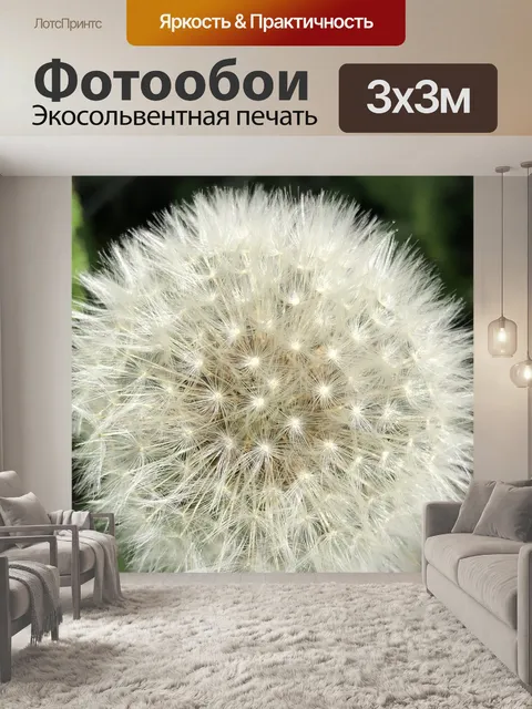 Фотообои Одуванчик