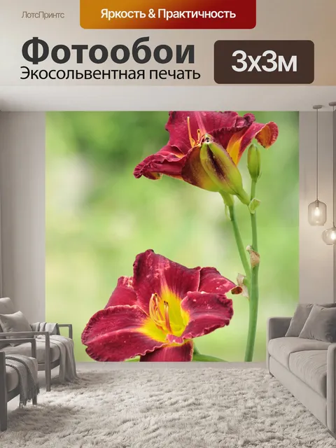 Фотообои Два цветка