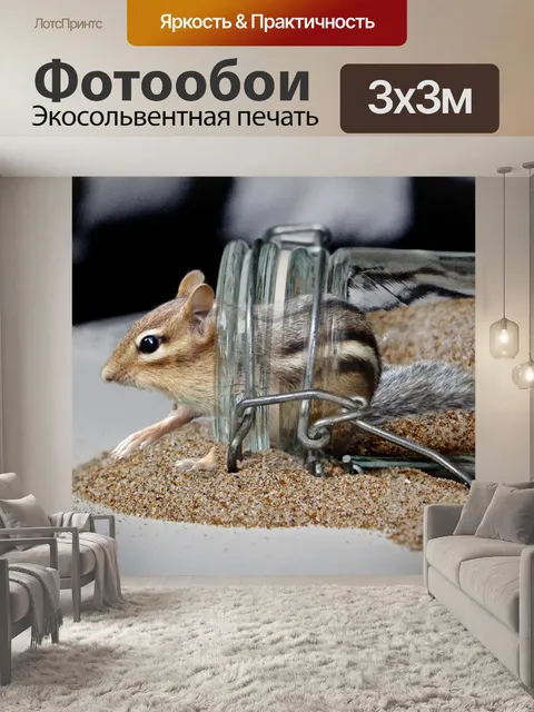 Фотообои Бурундук