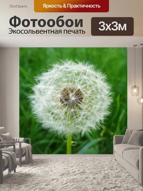 Фотообои Халат одуванчик mag