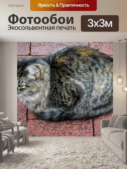 Фотообои Кошка