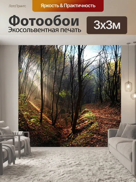 Фотообои Лес