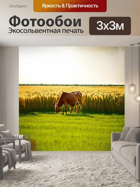 Фотообои в солнечный день, на бескрайнем зеленом поле, корова пасется среди высоких колосьев пшеницы,拍摄 с…