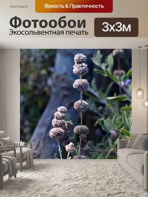 Фотообои артишок чертополох