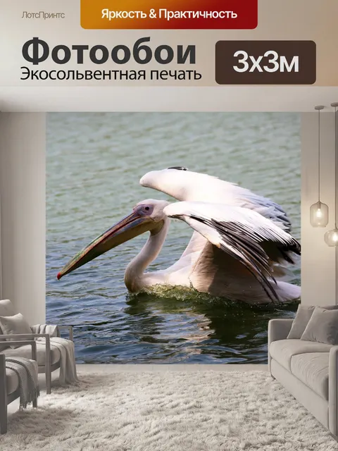 Фотообои Пеликан плавает в озере