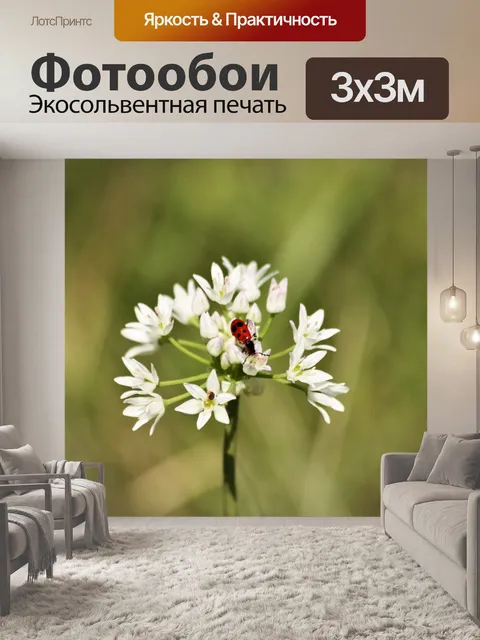 Фотообои Белый дикий и красный жук