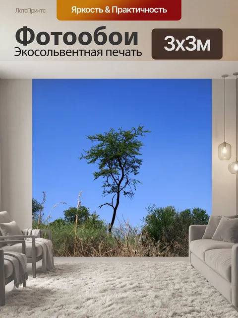 Фотообои одинокое дерево