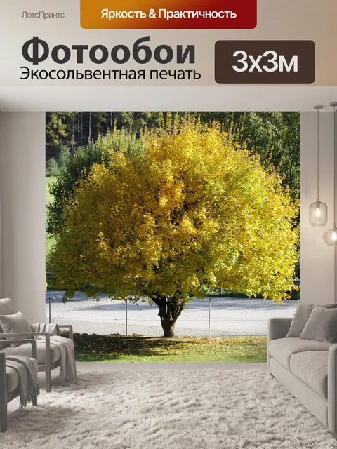 Фотообои Осенний пейзаж