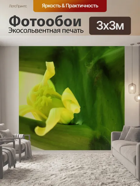 Фотообои Папайя цветок