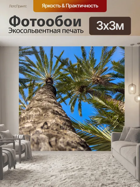 Фотообои Пальмы и голубое небо