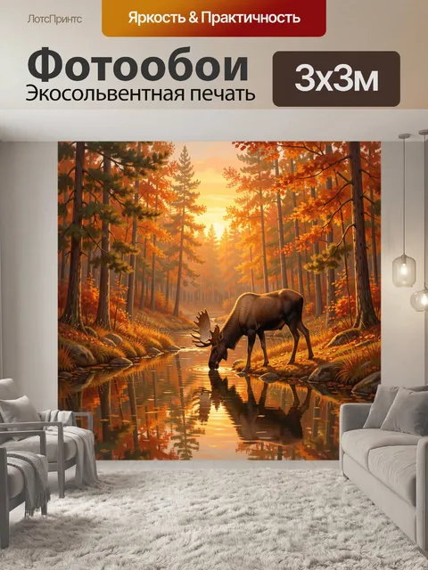 Фотообои Лось у лесного ручья на закате