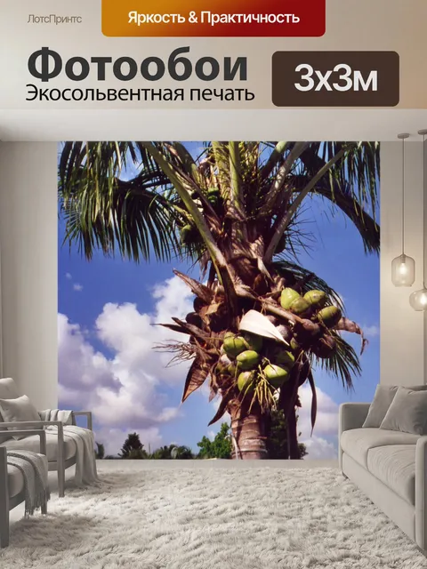 Фотообои Кокосовая пальма